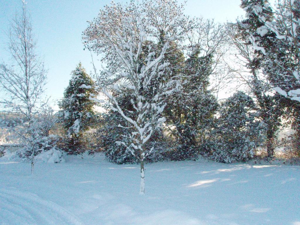Birchdale House B&B Ратдрам Екстер'єр фото
